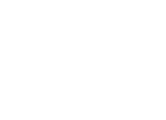 Developmental Services Workforce Initiative