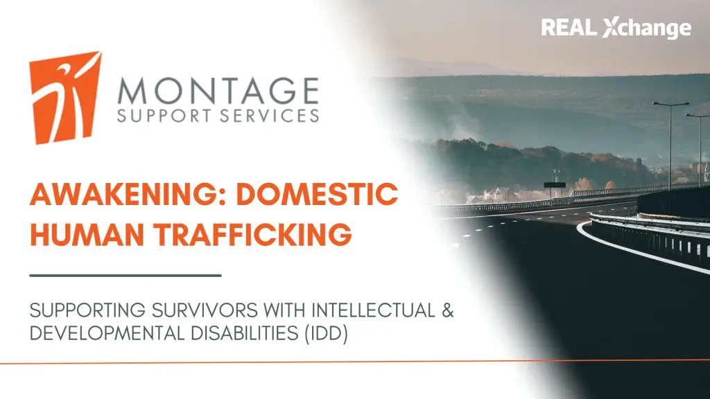 Awakening: Domestic Human Trafficking: Supporting Survivors with Intellectual & Developmental Disabilities (IDD) Intro image, writing on the left hand side and an image of an empty winding road on the right.